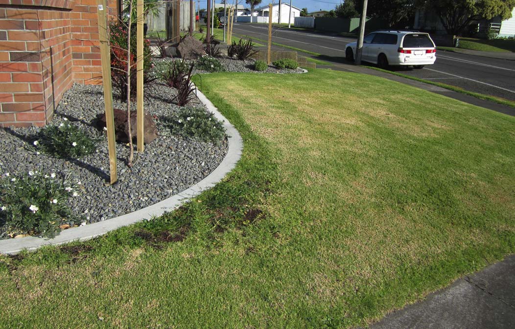 Lawn