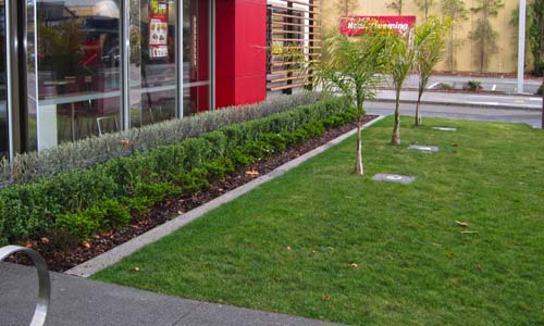 Commercial Planting