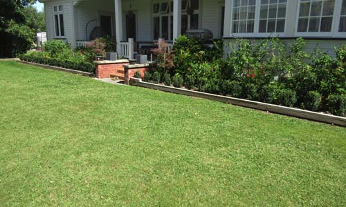 Planting & Lawns