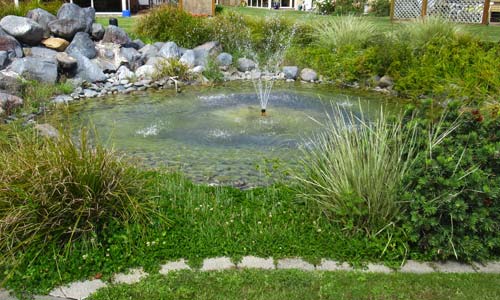 Water Features